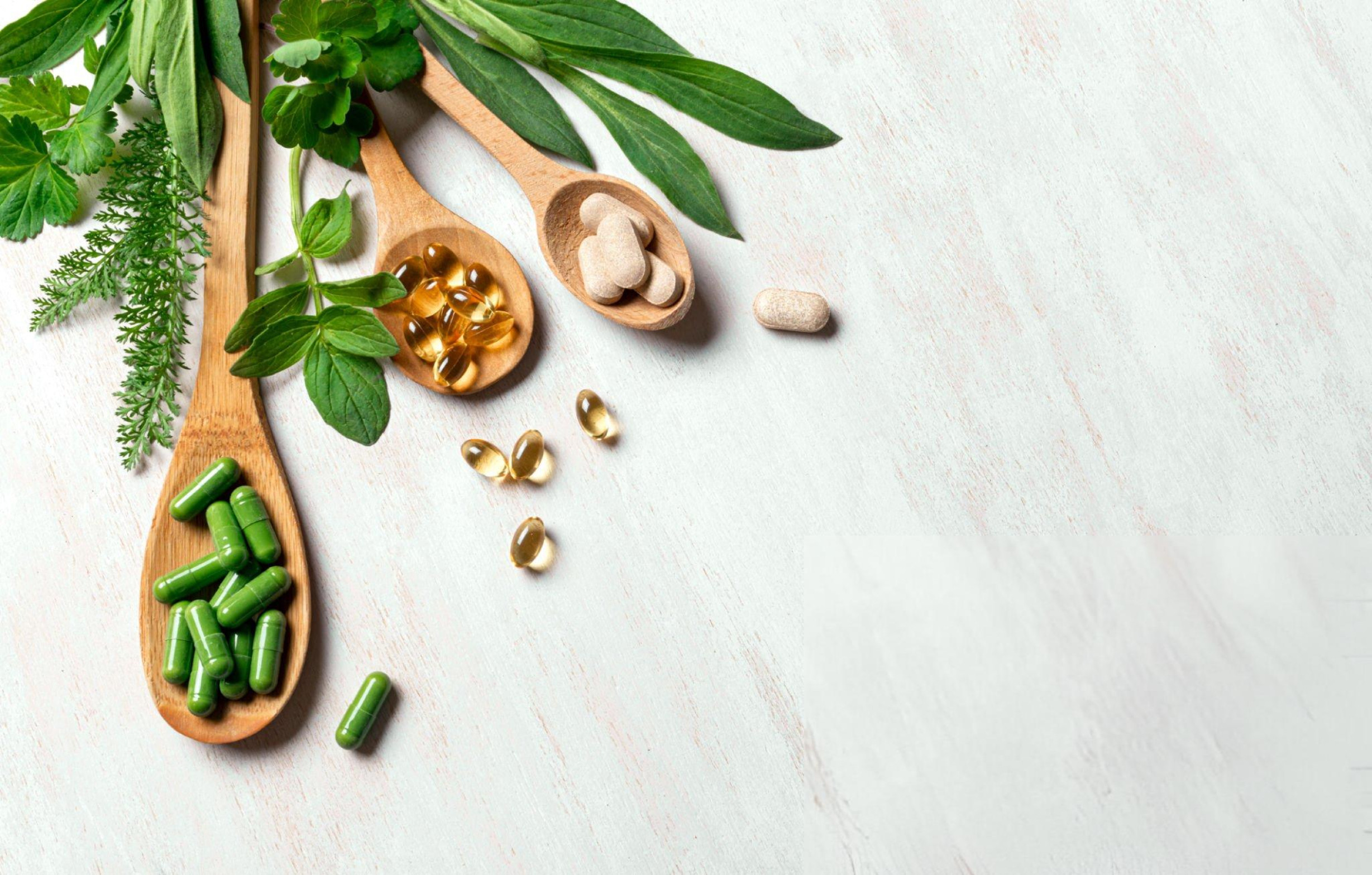 Supplements
